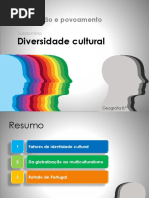 7 Diversidade Cultural