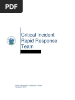 Cirrt Report