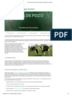 Consumo de Agua de Pozo. Riesgos y Problemas Frecuentes