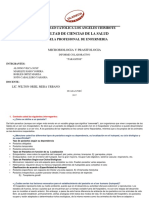 informe _ microbiologia.pdf