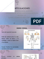 Presentación de Articulaciones. Gilberto Careta. Medicina. Sección 101.