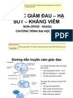 Biophavn - Thuoc Giam Dau Non-Opioid NSAIDs SV 04 2017 Slide