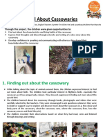 NEL Portal Activity Idea Flora and Fauna All About Cassowaries PCF Braddell Heights