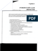 Introducción A Proyectos PDF