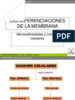 uniones-celulares-y-microvellosidades.ppt