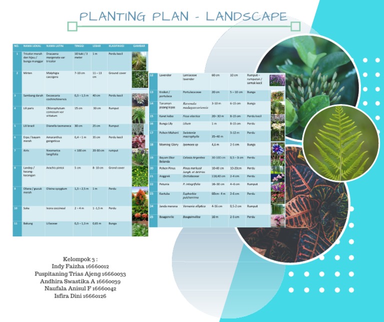 Landscape Planting Plan Overview | PDF | Home & Garden | Science ...