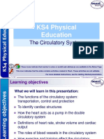 KS4 Physical Education: The Circulatory System