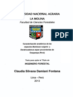 FIBRA DENDROCALAMUS.pdf