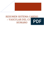 Resumen Sistema Cardio Vascular Del Cuerpo Humano