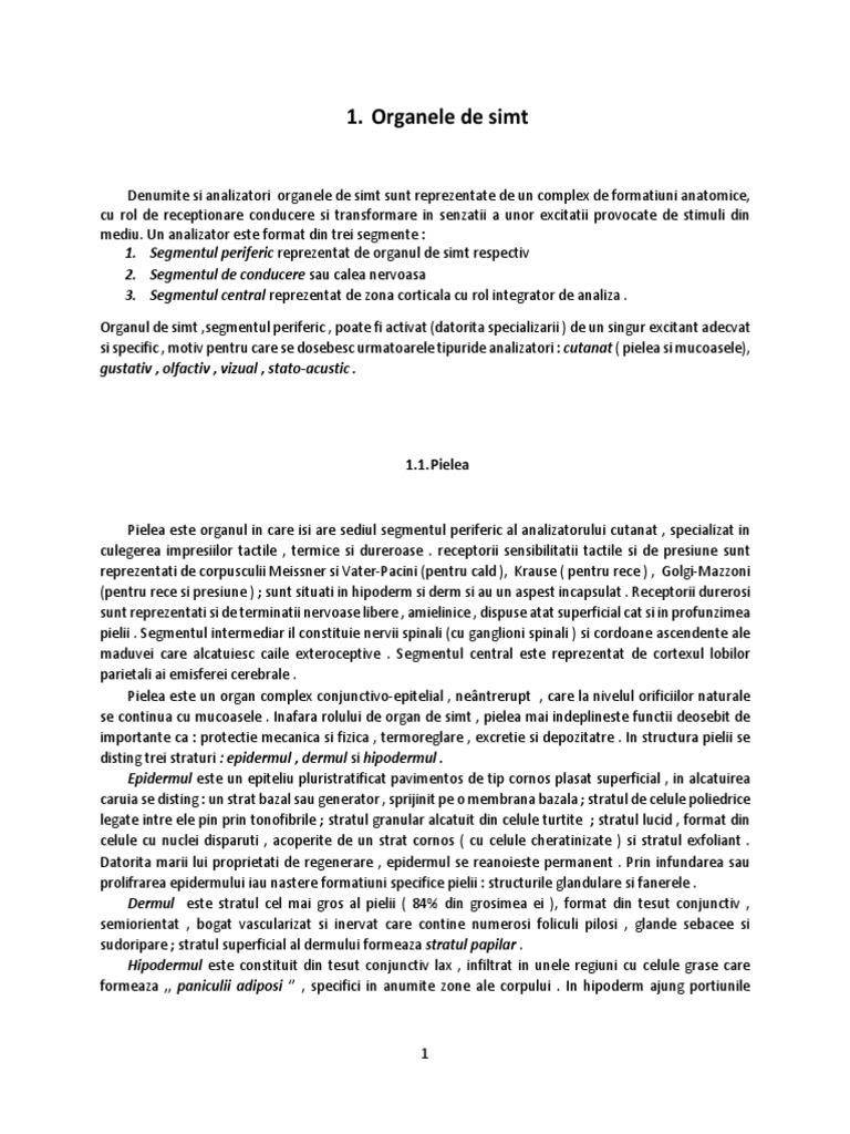 Organele de Simt | PDF