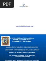 Download Nia Modificaiones Dictamen Auditor by Eduardo Perfecto SN40669739 doc pdf
