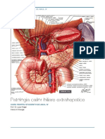 patogenia neoplasmului colecistic.pdf