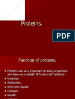 Proteinsyr12 111011115041 Phpapp01
