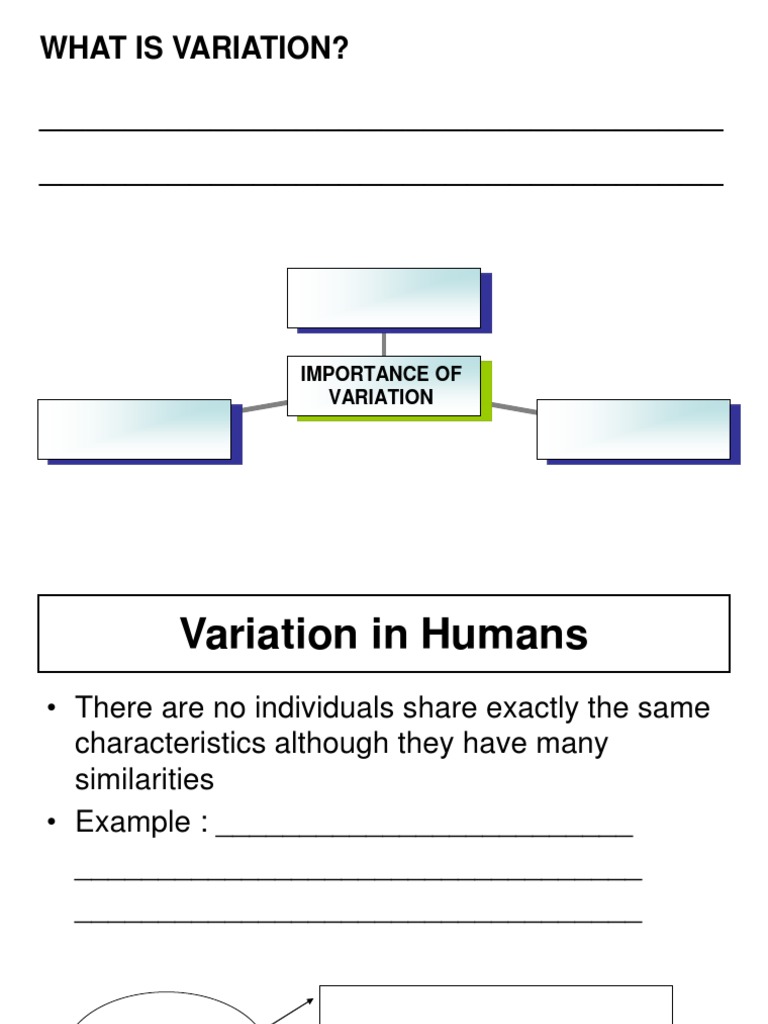 Variation | PDF | Meiosis | Mutation