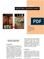 PLAN PILOTO AGROPECUARIA-QÑ Final PDF