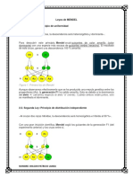 Leyes de MENDEL