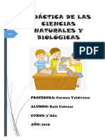 Fundamentación-2.docx