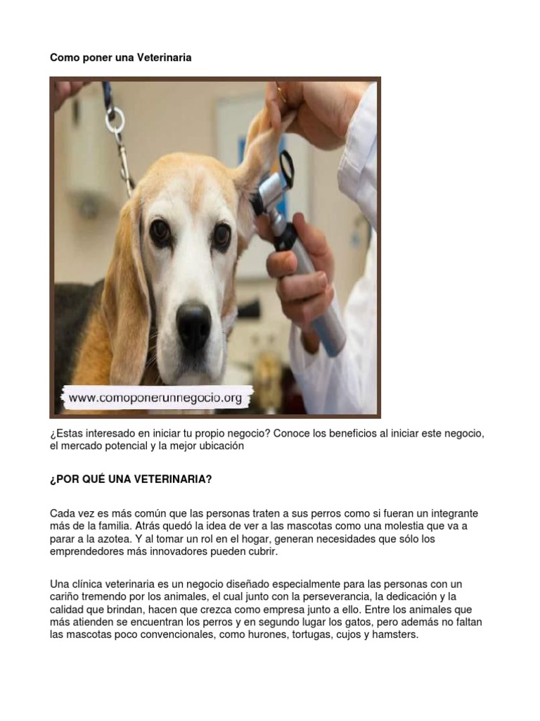 Maquina para cortar pelo de perro - Animal Lovers Tienda de Mascotas Y  Farmacia Veterinaria