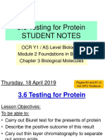 3.6 (Lesson 2) Testing For Protein SN