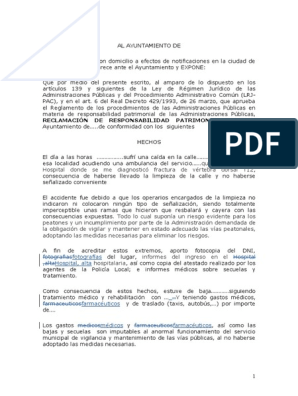 Plantilla Modelo de Reclamacion de Responsabilidad Patrimonial | PDF |  Causalidad (Ley) | Gobierno
