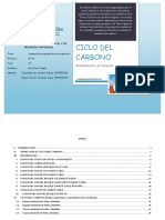 Ciclo Del Carbono en Simulink Final