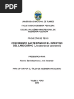 Download Proyecto de Micro by Judi Rodriguez SN40675509 doc pdf