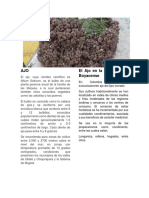 Recetario PDF