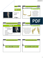 Aula de Anatomia Do Punho para o Curso de Reablitação Das Lesões Do Punho