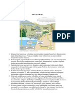 Siklus Daur Fosfor, Sulfur, Nitrogen, Karbon