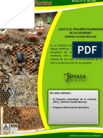Apicultura Senasa PDF