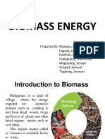 Biomass Energy Group-2