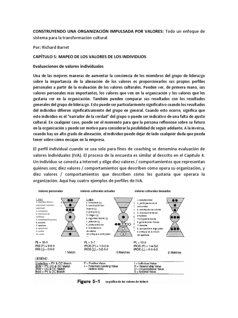 Niveles de Conciencia según Barrett | PDF | Evaluación | Liderazgo