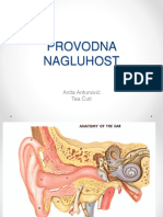 Provodna Nagluhost2