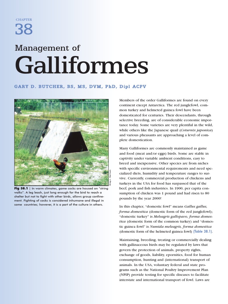 Overview of Galliformes Species | PDF | Galliformes | Phasianidae