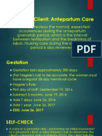 Maternity Client Antepartum Care Review