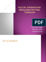 Kultur Jaringan Dan Pengangkutan Pada Tumbuhan