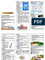 Download Leaflet Tumbang Kembang Anak Dan Balita by Andre paussy hendrata SN40680037 doc pdf