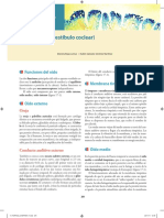 fortoul_histologia_1e_cap_17.pdf