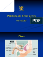 1 - Patologia Do Pênis, Uretra e Escroto