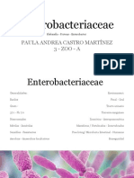 Enterobacteriaceae - PACM