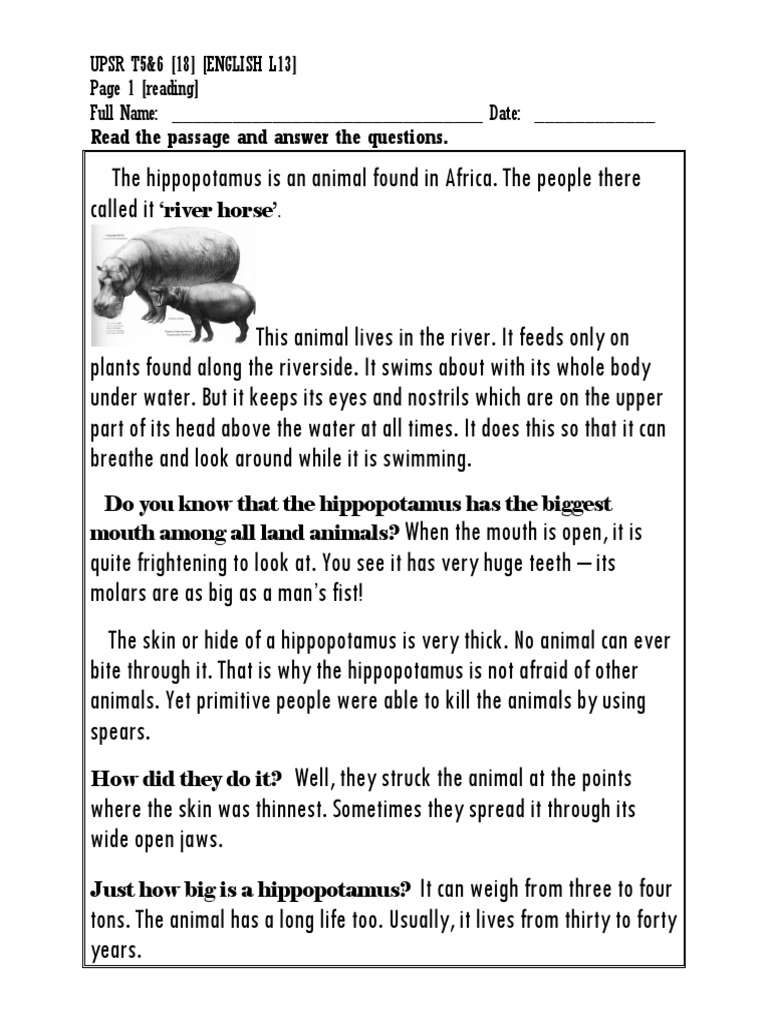 Hippopotamus Facts and Reading Quiz | PDF | Hippopotamus