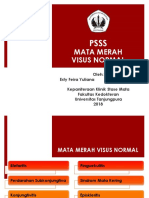 PSSS-Mata Merah Visus Normal_Esty Feira Yuliana (I41061172024)