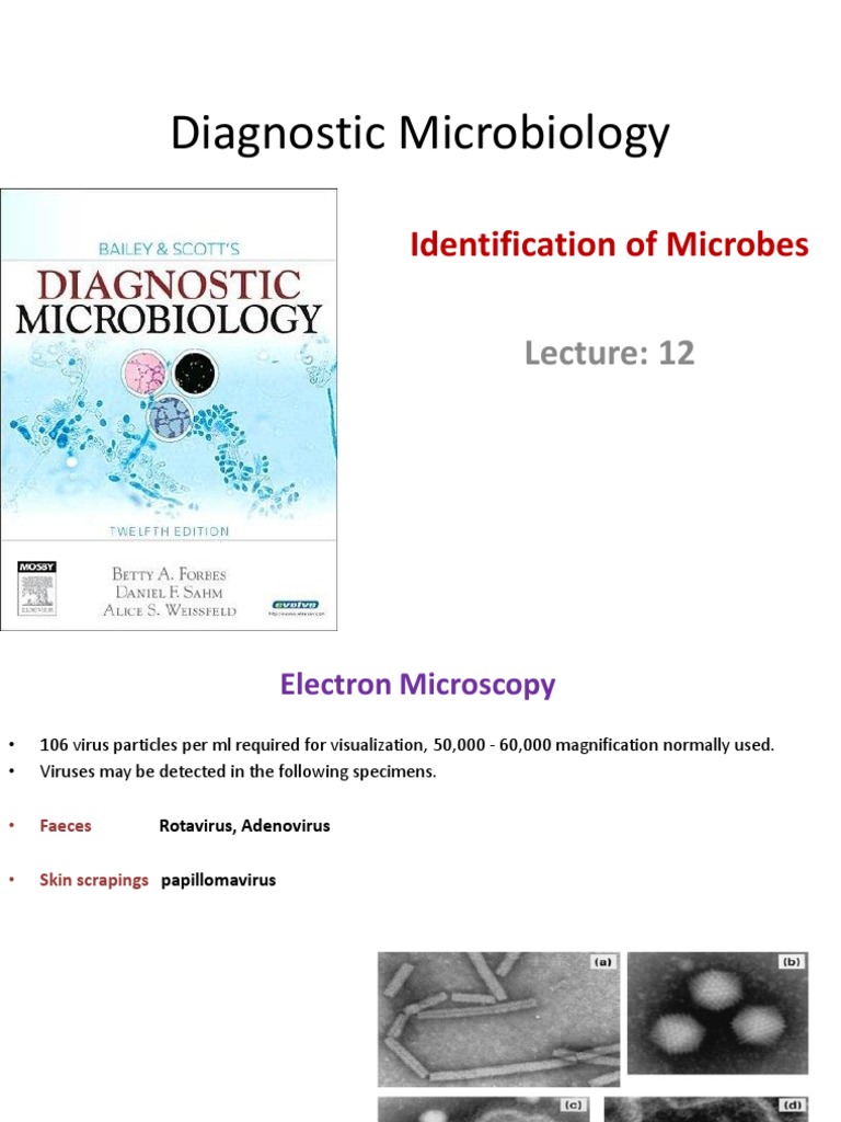 Diagnostic Microbiology: Identification of Microbes | PDF | Virus ...