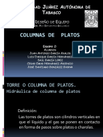 126753226-Hidraulica-de-Columnas-de-Platos-Exposicion-Equipo-2.pptx