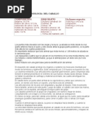 Download Anatomia y Fisiologia Del Caballo by Marco Rm SN40683346 doc pdf