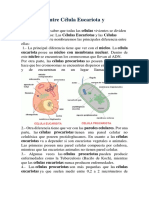 Diferencia entre Célula Eucariota y Procariota.docx