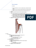 musculatura de la cintura escapular.pdf