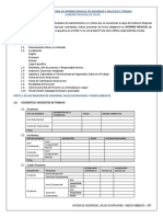 Formato de Informe Mensual SST - Final