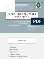 Microhidrocentrala Trăisteni 1: Master Surse Regenerabile de Energie Microhidrocentrale Profesor: Bogdan Popa