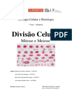 Biologia Celular e Histologia Relatório217